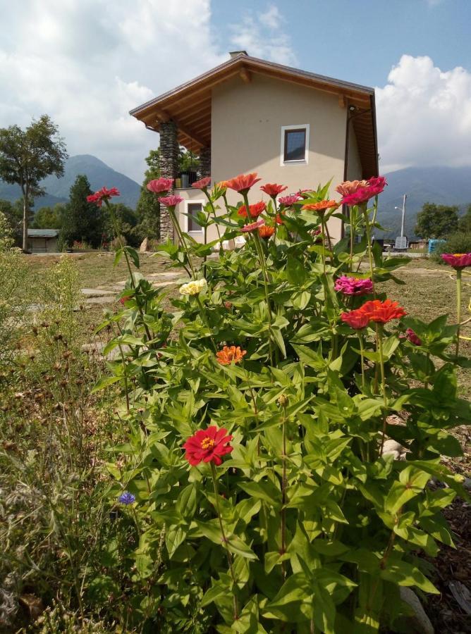 Appartement Semi Al Vento: La Bio-Casa Nel Giardino Incantato! à Paesana Extérieur photo