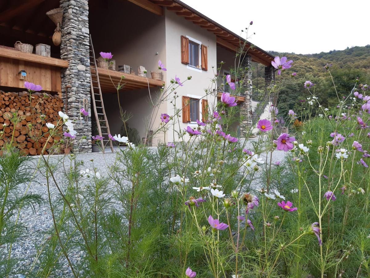 Appartement Semi Al Vento: La Bio-Casa Nel Giardino Incantato! à Paesana Extérieur photo