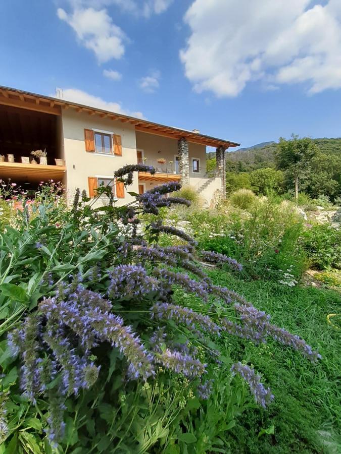 Appartement Semi Al Vento: La Bio-Casa Nel Giardino Incantato! à Paesana Extérieur photo