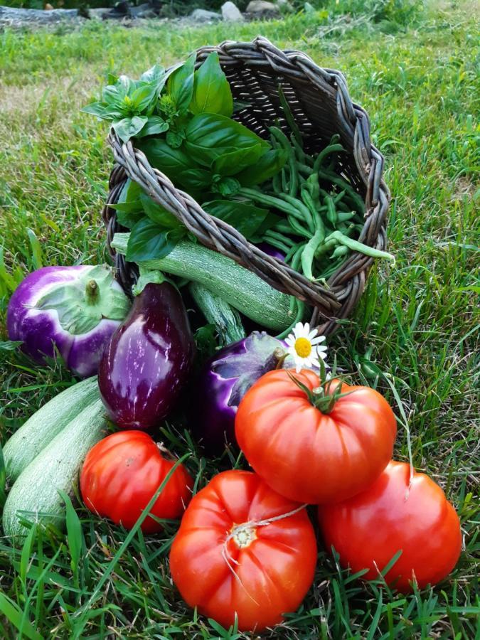 Appartement Semi Al Vento: La Bio-Casa Nel Giardino Incantato! à Paesana Extérieur photo