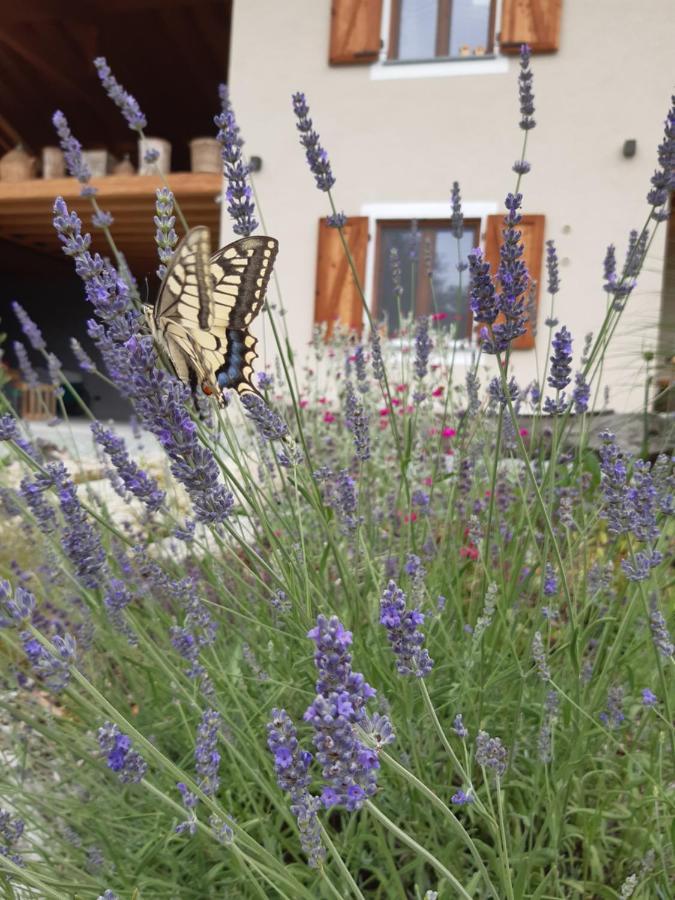 Appartement Semi Al Vento: La Bio-Casa Nel Giardino Incantato! à Paesana Extérieur photo